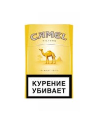 Camel Filter 